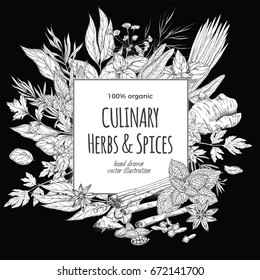 Square frame surrounded by culinary herbs and spices on black background, vector illustration
