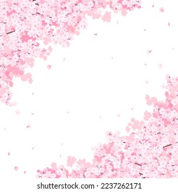 square frame template with cherry blossoms in full bloom