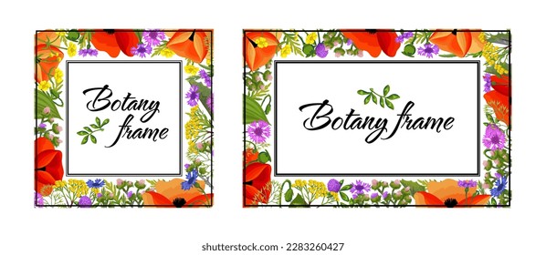 Square frame template with wild flowers. Botany illustration for compliments, invitation, greeting