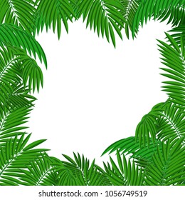 A square frame for text or a photo of palm leaves. Tropical plants. Vector illustration.