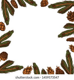 Square frame for text with pine branches and cones on a white background. Cartoon style.