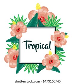 square frame with tropical flowers and leafs