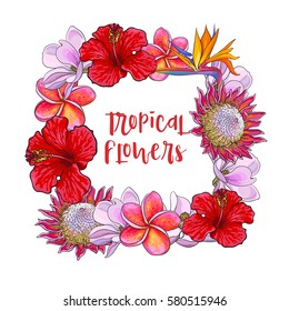 Square frame of tropical flowers with place for text, sketch vector illustration isolated on white background.