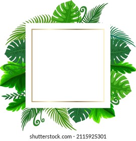 Square frame with tropical green leaves illustration