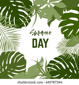 Square frame, tropical leaves on white background