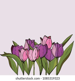Marco cuadrado con tulipanes y hierbas en blanco. Patrón floral para el diseño de tu boda, tarjetas de felicitación floral, carteles.
