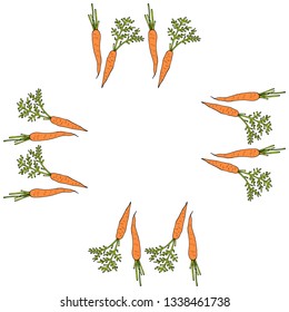 Square frame with vertical beautiful carrots. Isolated wreath on white background for your design
