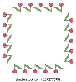 Square frame with vertical blooming pink tulips on white background. Isolated frame of flowers for your design.