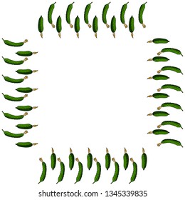 Square frame with vertical green cucumber. Isolated wreath on white background for your design