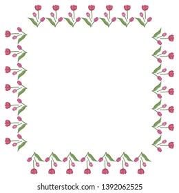 Square frame with vertical lovely pink tulips on white background. Isolated frame of flowers for your design.