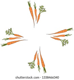 Square frame with vertical vector carrots. Isolated wreath on white background for your design
