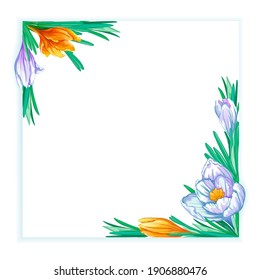 Square frame with white and orange spring crocuses. Floral template for text or photo.
