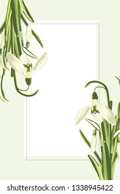 Square frame with white snowdrops flowers bouquet. Hand drawn illustration on white background.
