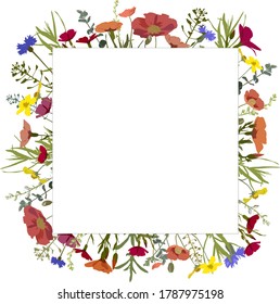 Square frame with wild flowers and herbs vector illustration