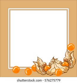 Square frame of winter cherry, empty space for text, vector illustration