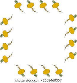 Marco cuadrado con nabo amarillo sobre fondo blanco. Imagen de Vector.