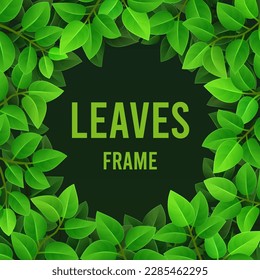 Square frame of young green leaves with an oval opening and depth on a dark background. Vector illustration, design element.