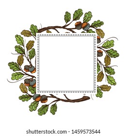 Square frame for your text with oak branches and acorns on a white background. Cartoon style.