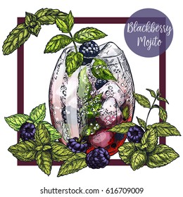  Square framed card with blackberry mojito with blackberries, surrounded by mint leaves, vector realistic colorful sketch illustration