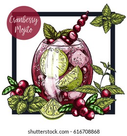 Square framed card with cranberry mojito with lime and berries, surrounded by mint leaves, vector realistic colorful sketch illustration