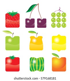 square fruit, icon, vector illustration