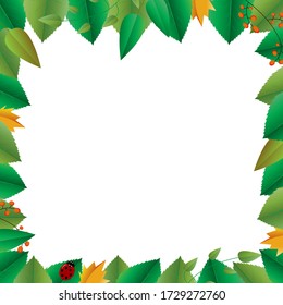 Gramme carrée faite à partir du feuillage et de minuscule vecteur de coccinelle