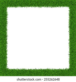 Square grass border  with copy-space  on white background, vector illustration.