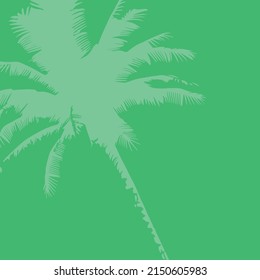 Square green background with palm tree silhouette, post on social networks, vector