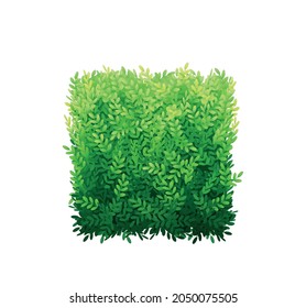 Square green garden bush realistic icon vector illustration