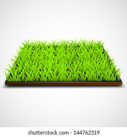 Square of green grass field over white background