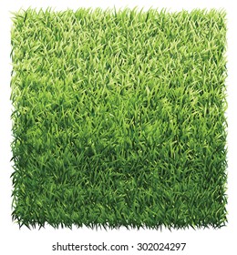 Square of green grass. A lawn with gradient light green to dark green.