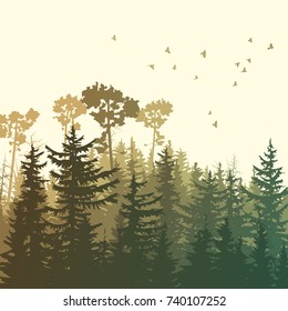 Square illustration of forest with green coniferous trees (sequoia) and birds.