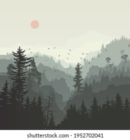 Square illustration of misty coniferous forest hills with canyons and flock of birds.