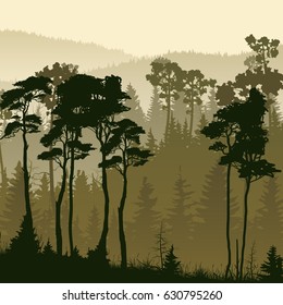 Square illustration of misty coniferous forest hills in green tone.