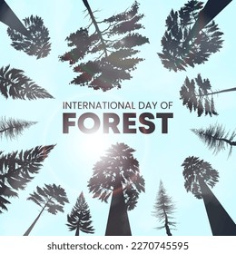 Square international day of forests background with trees silhouette from below