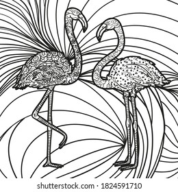 Square intricate pattern with flamingos. Zentangle. Hand drawn background. Design for spiritual relaxation for adults. Black and white illustration for coloring