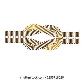 Square knot. Flat knot. Reef knot. Two golden twisted ropes intertwined