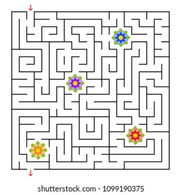 A square labyrinth. Collect all the flowers and find a way out of the maze. Simple flat isolated vector illustration
