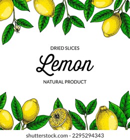 Square lemon background. Hand drawn colorful vector illustration in sketch stile. Design for packaging, logo, invitation, greeting cards