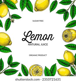 Square lemon background. Hand drawn colorful vector illustration in sketch stile. Design for packaging, logo, invitation, greeting cards