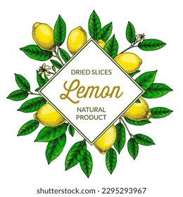 Square lemon frame. Hand drawn colorful vector illustration in sketch stile. Design for packaging, logo, invitation, greeting cards