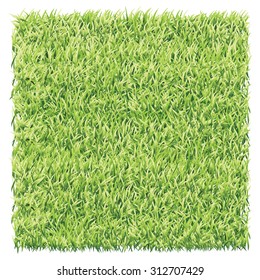 Square of  light green grass. A lawn light green background vector.