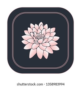 square lotus flower card in retro pink black shades