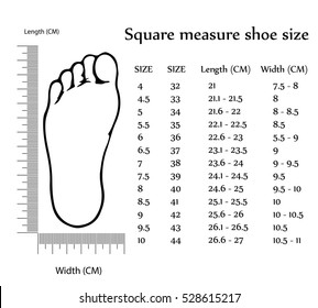 Foot Size Images, Stock Photos 