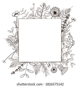 Square minimalistic frame with hand drawn wild forest herbs. Vector illustration.