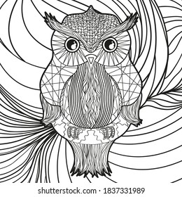 Square ornate background with patterned owl. Hand drawn pattern on isolated background. Black and white illustration