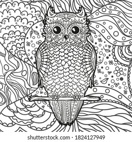 Square ornate pattern. Hand drawn owl. Black and white illustration