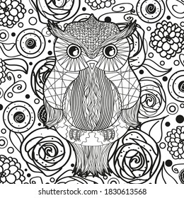 Square ornate pattern with outline owl. Hand drawn ornate background. Black and white illustration