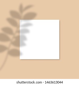 Square Paper Mockup with realistic shadows overlays leaf. Vector Shadow Of A Tropical Plant. Template Flyer, Poster, blank, social media post, logo template in a trendy style