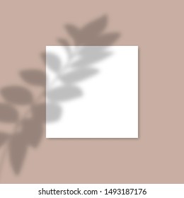 Square Paper Mockup With Realistic Shadows Overlays Leaf. Vector Shadow Of A Tropical Plant. Template Flyer, Poster, Blank, Social Media Post, Logo Template In A Trendy Style